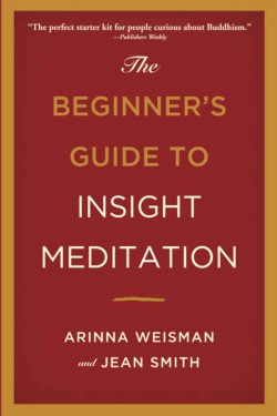 The Beginner’s Guide to Insight Meditation