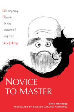 Novice to Master (Hardcover)