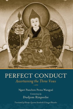 Perfect Conduct