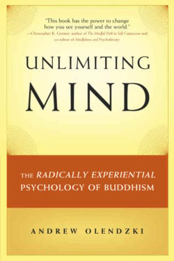Unlimiting Mind