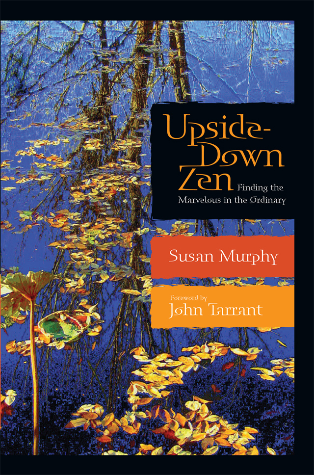 Upside-Down Zen - The Wisdom Experience