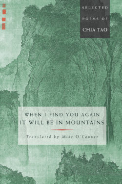 When I Find You Again, It Will Be in Mountains