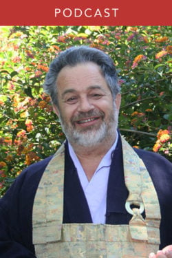 Ross Bolleter: The Intimacy of Zen Koan Practice