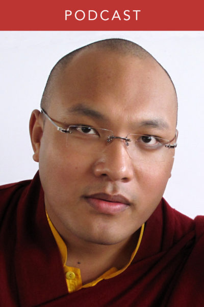 H. H. Karmapa: Vegetarianism, Online Education and Nuns’ Ordination