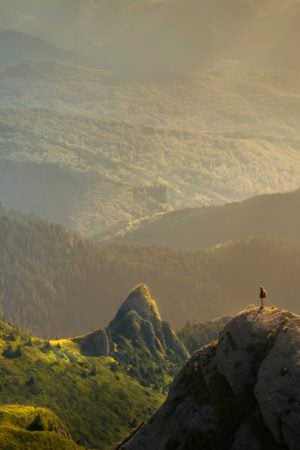 Benefits of the Foundations of Mindfulness online course