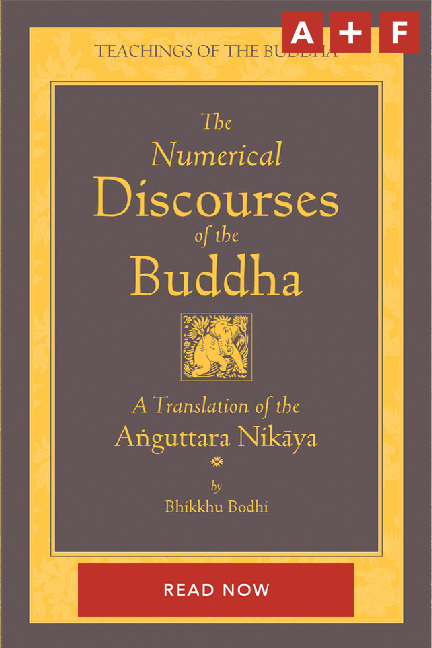 essay on teachings of buddha