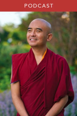 Yongey Mingyur Rinpoche: Dharma for Difficult Times (#124)
