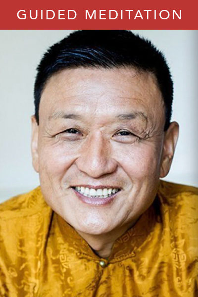 Tenzin Wangyal Rinpoche: Guided Meditation