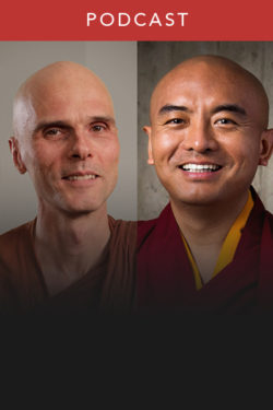 Ven. Bhikkhu Anālayo and Yongey Mingyur Rinpoche: Early Buddhism and Dzogchen (#133)