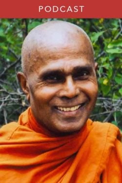 Bhante Gunaratana: Approaching Nibbāna (#150)
