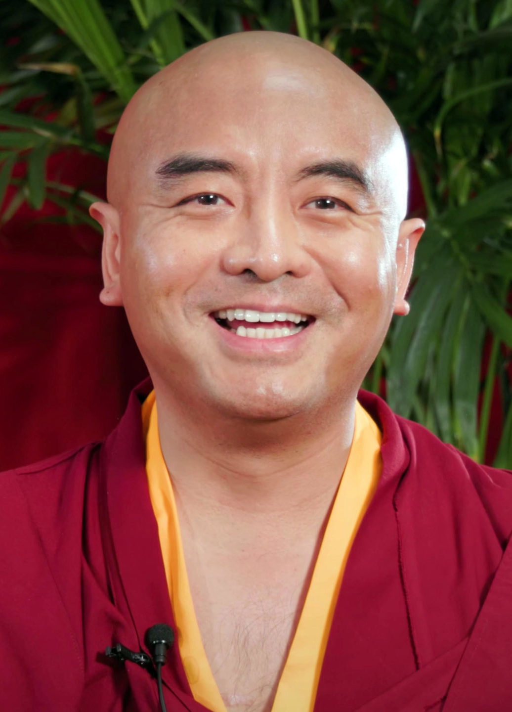 joy of living yongey mingyur rinpoche
