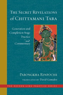 The Secret Revelations of Chittamani Tara