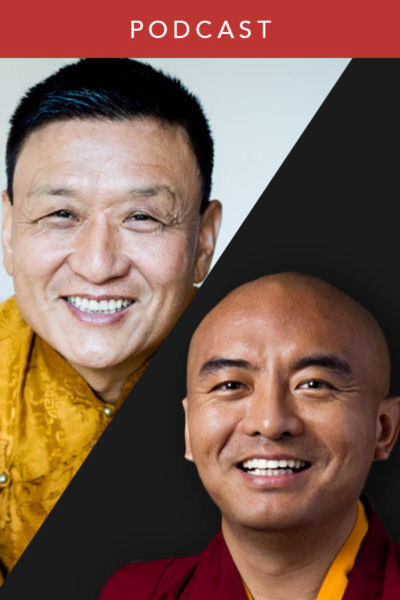 Tenzin Wangyal Rinpoche and Yongey Mingyur Rinpoche: Dharma in the Modern World (#162)