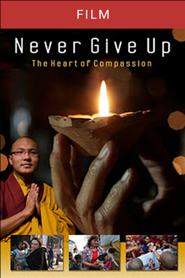 Never Give Up – The Heart of Compassion