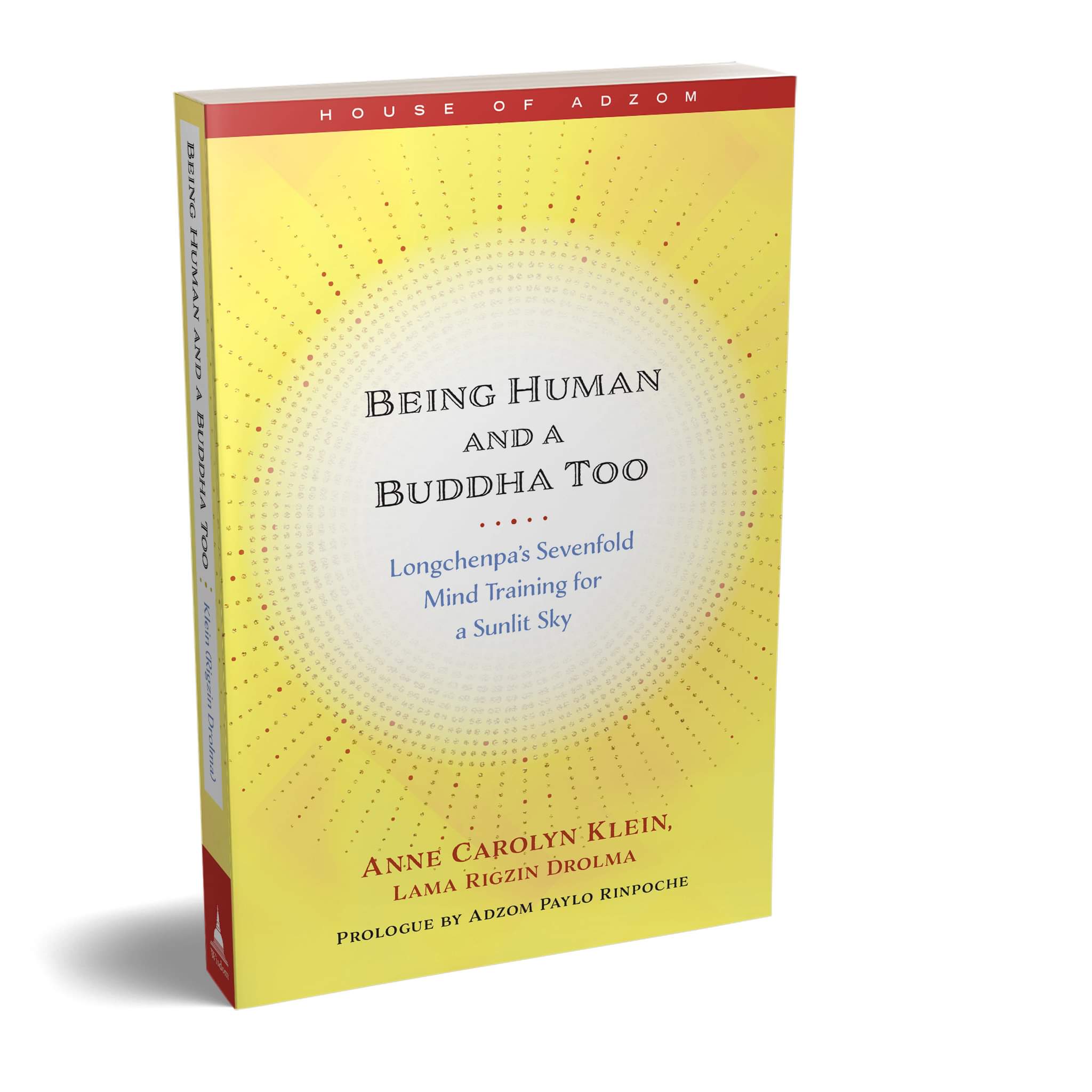 3D render of the book Being Human and a Buddha Too by Anne C. Klein, with a yellow cover with a white sun in the middle