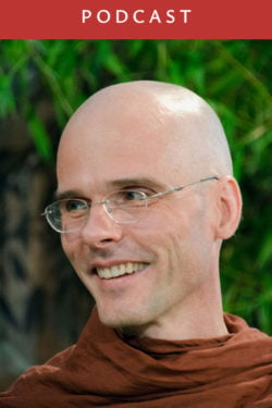 Venerable Bhikkhu Anālayo: The Signless and the Deathless (#170)