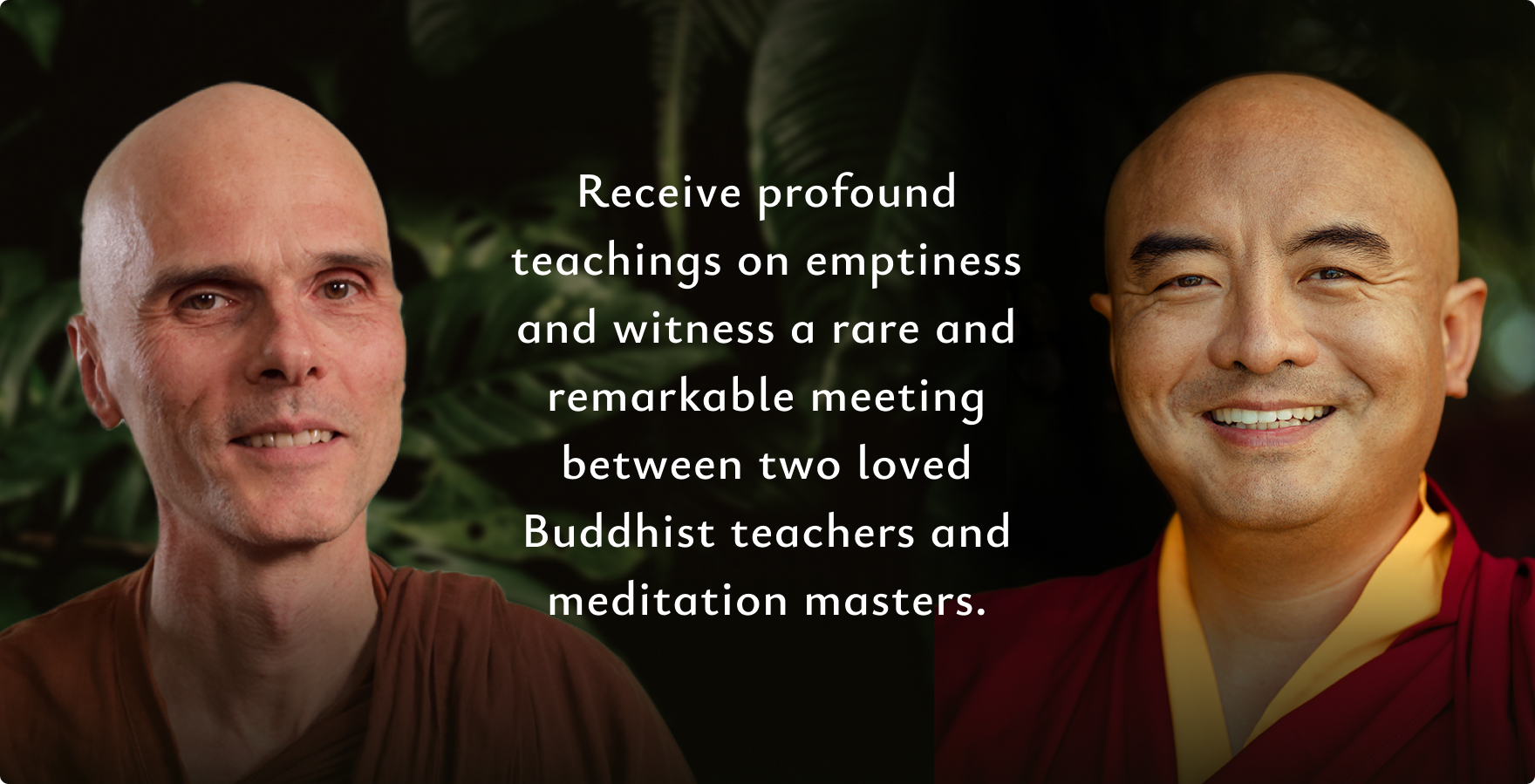 meditation mingyur rinpoche