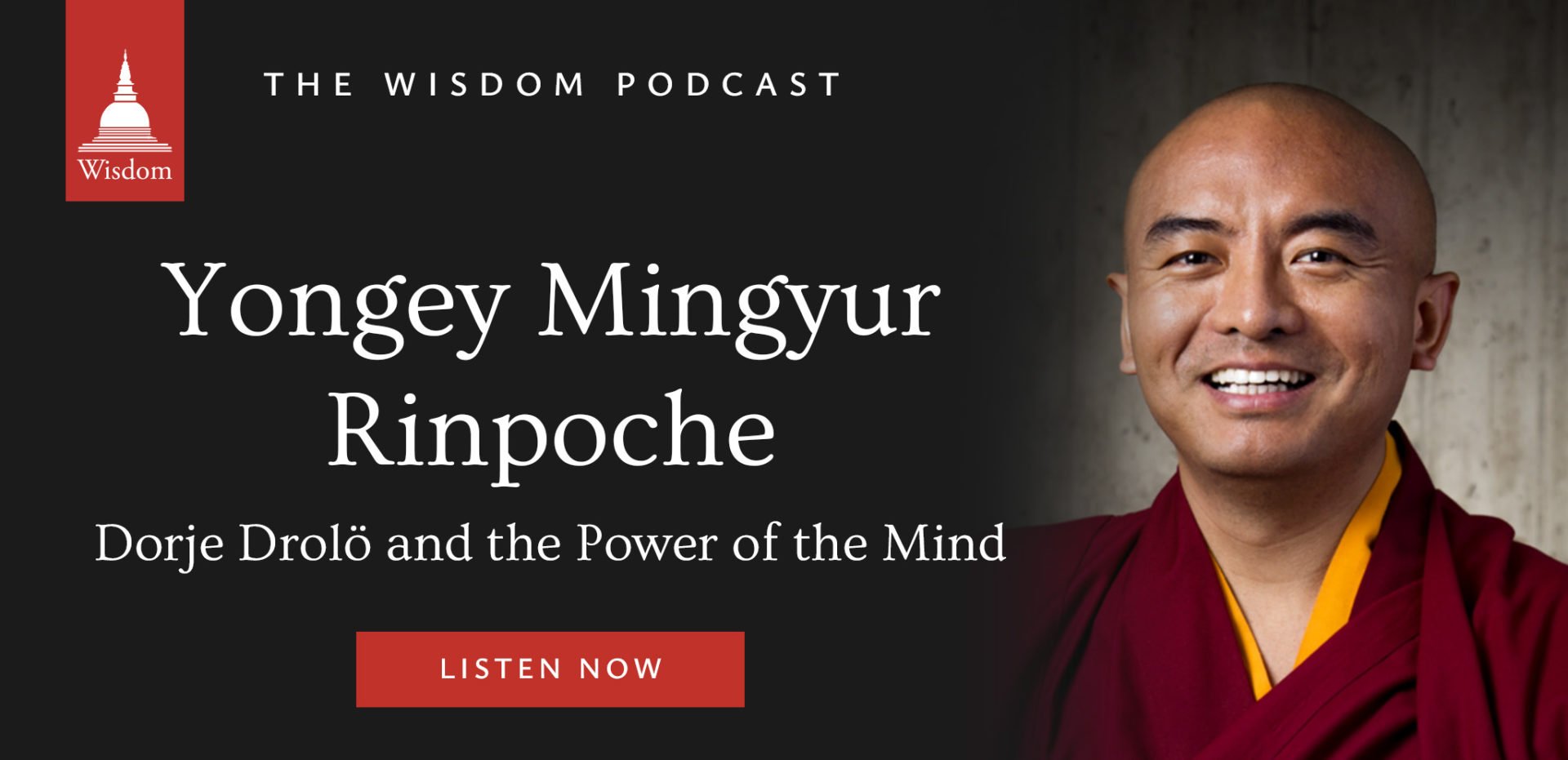 Yongey Mingyur Rinpoche: Dorje Drolö and the Power of the Mind (#183 ...