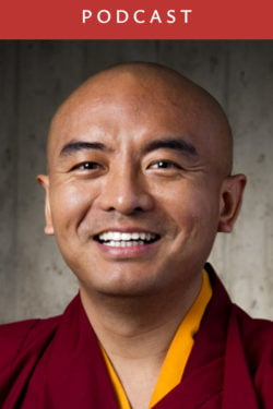 Yongey Mingyur Rinpoche: Dorje Drolö and the Power of the Mind (#183)