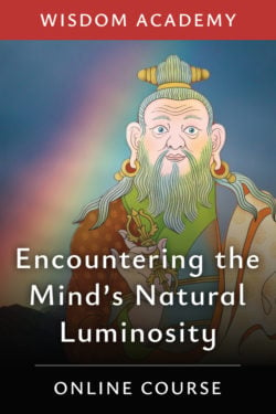 Encountering the Mind’s Natural Luminosity