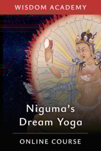 Kalu Rinpoche videos