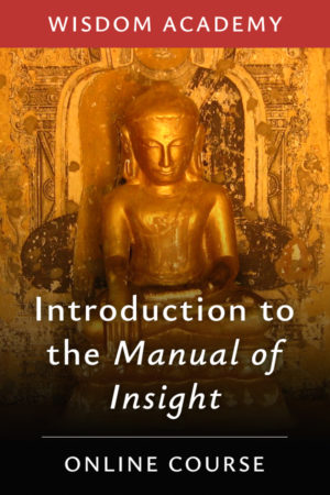 insight meditation course