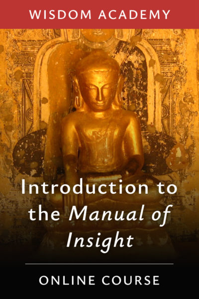 Introduction to the Manual of Insight