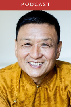 Tenzin Wangyal Rinpoche: Dream Yoga (#193)