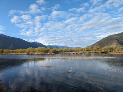 An Introduction to Zen Ecology