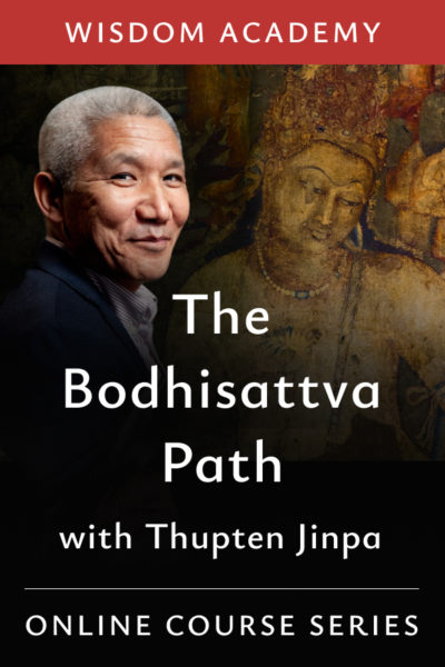 The Bodhisattva Path