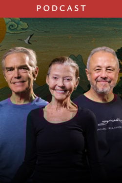Alejandro Chaoul, Richard Freeman, and Mary Taylor: Yoga for Meditators (#208)