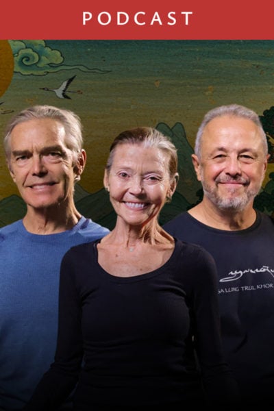 Alejandro Chaoul, Richard Freeman, and Mary Taylor: Yoga for Meditators (#208)