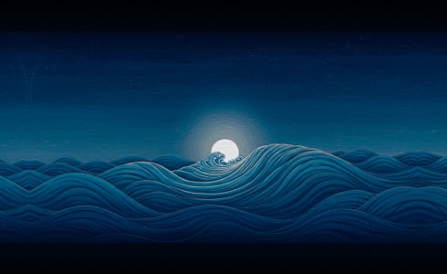 learn mahamudra