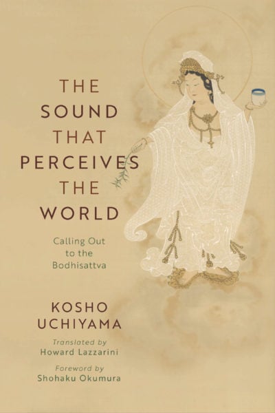 The Sound that Perceives the World